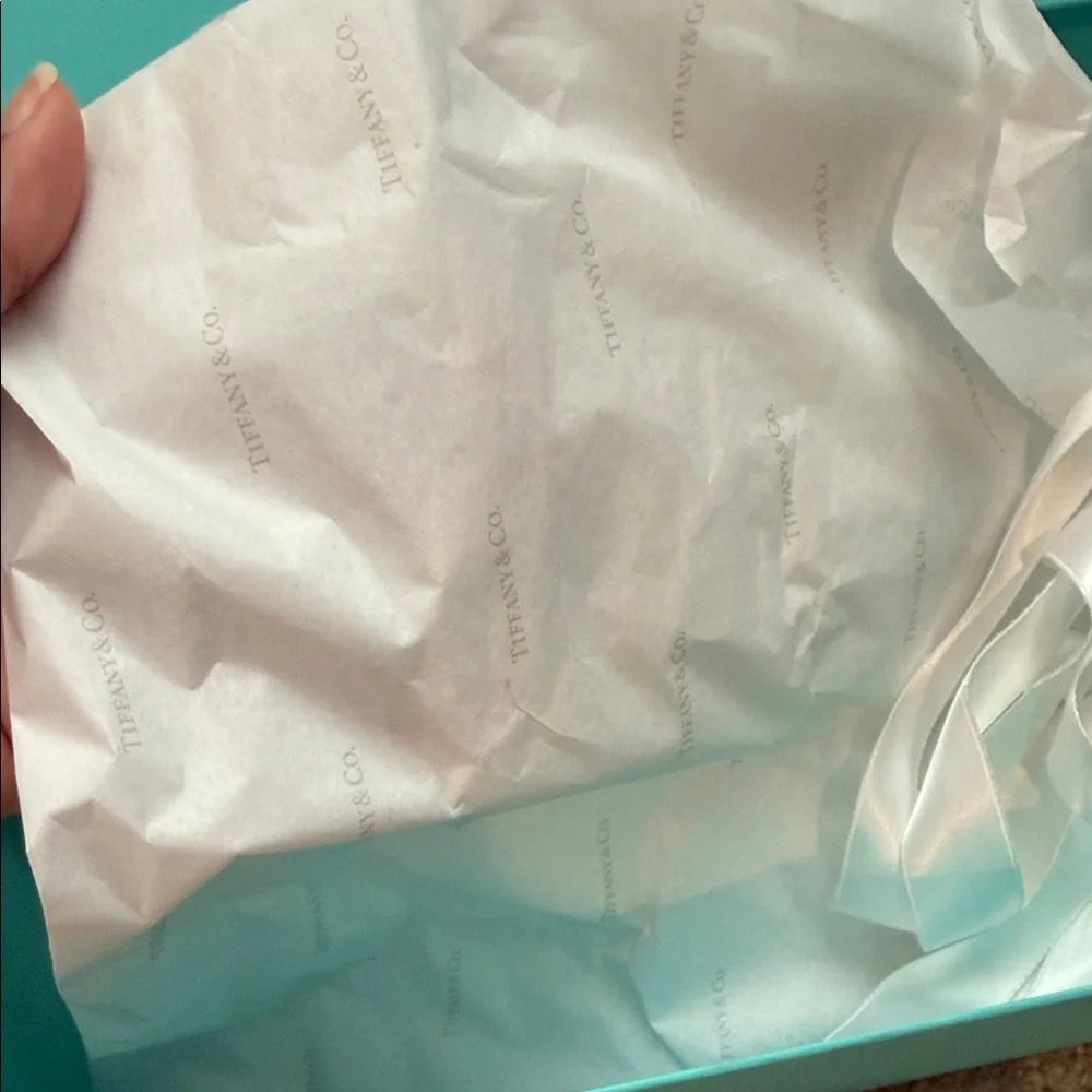 Tiffany & Co. Clear Crystal Flutes on Iconic Blue Box - Picture 5 of 11